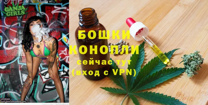 Канабис OG Kush  Заполярный 